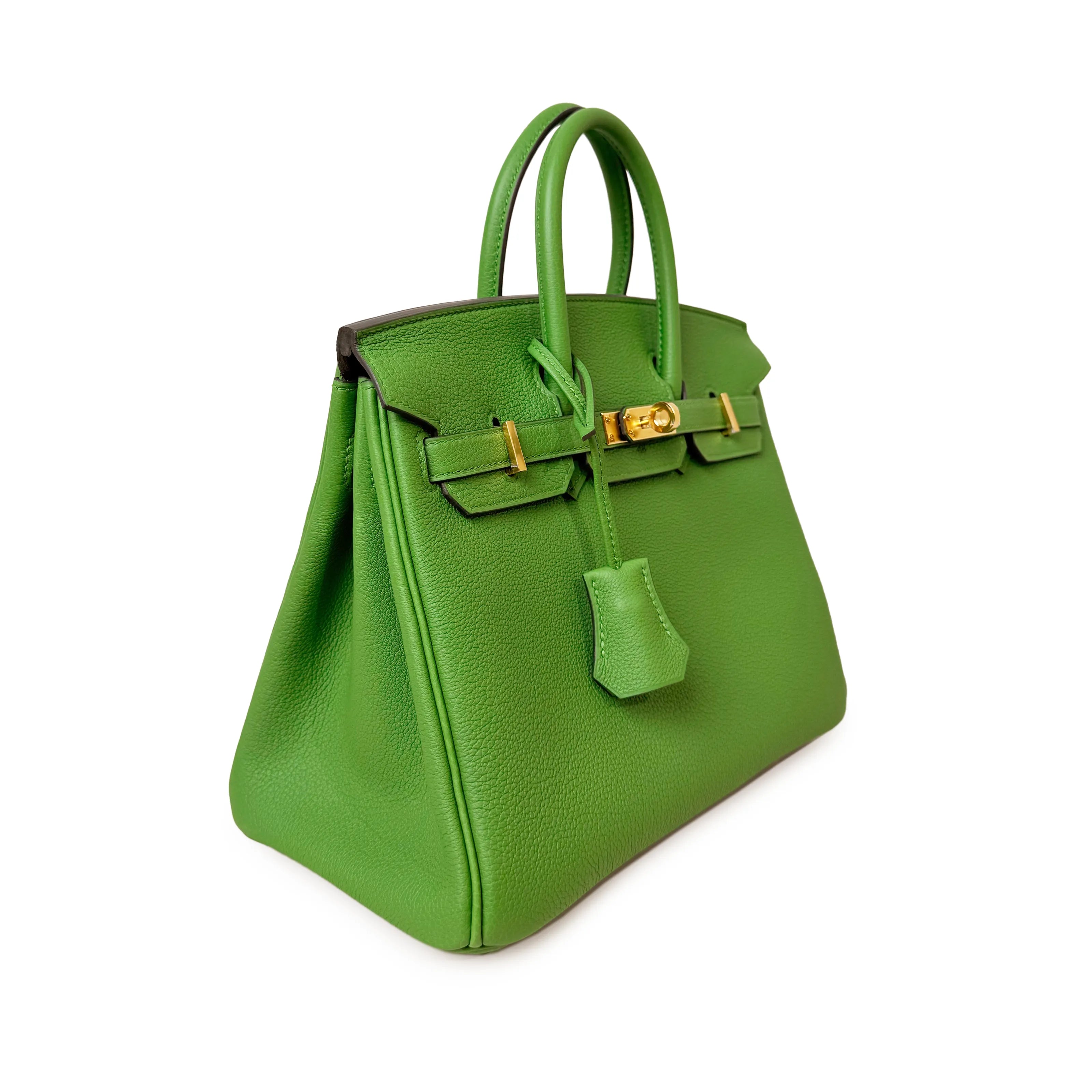 Hermès Birkin 25 Vert Yucca Togo GHW