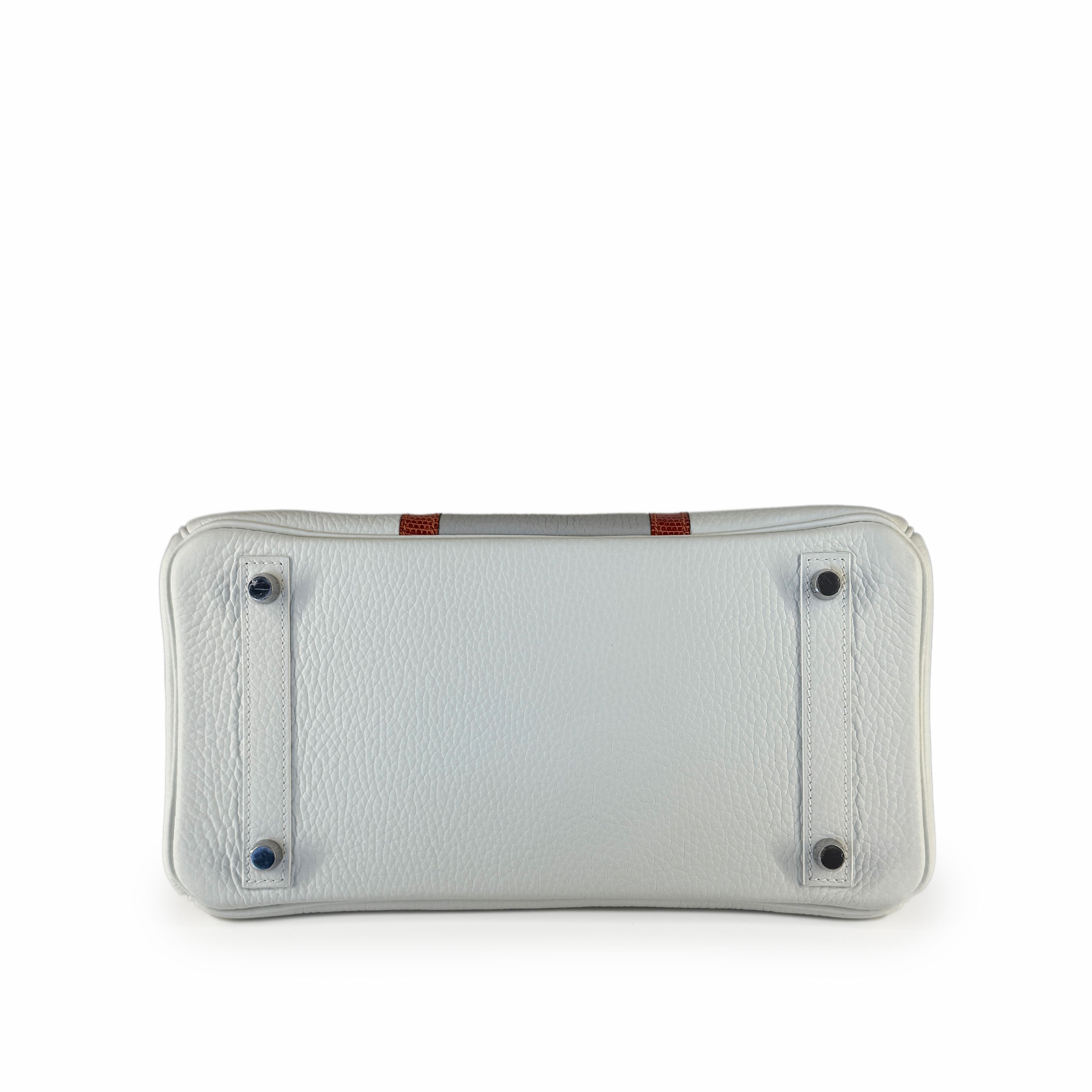 Hermès Birkin 30 Limited Edition Gris Perle, Blanc Clemence, and Sanguine Lizard Club