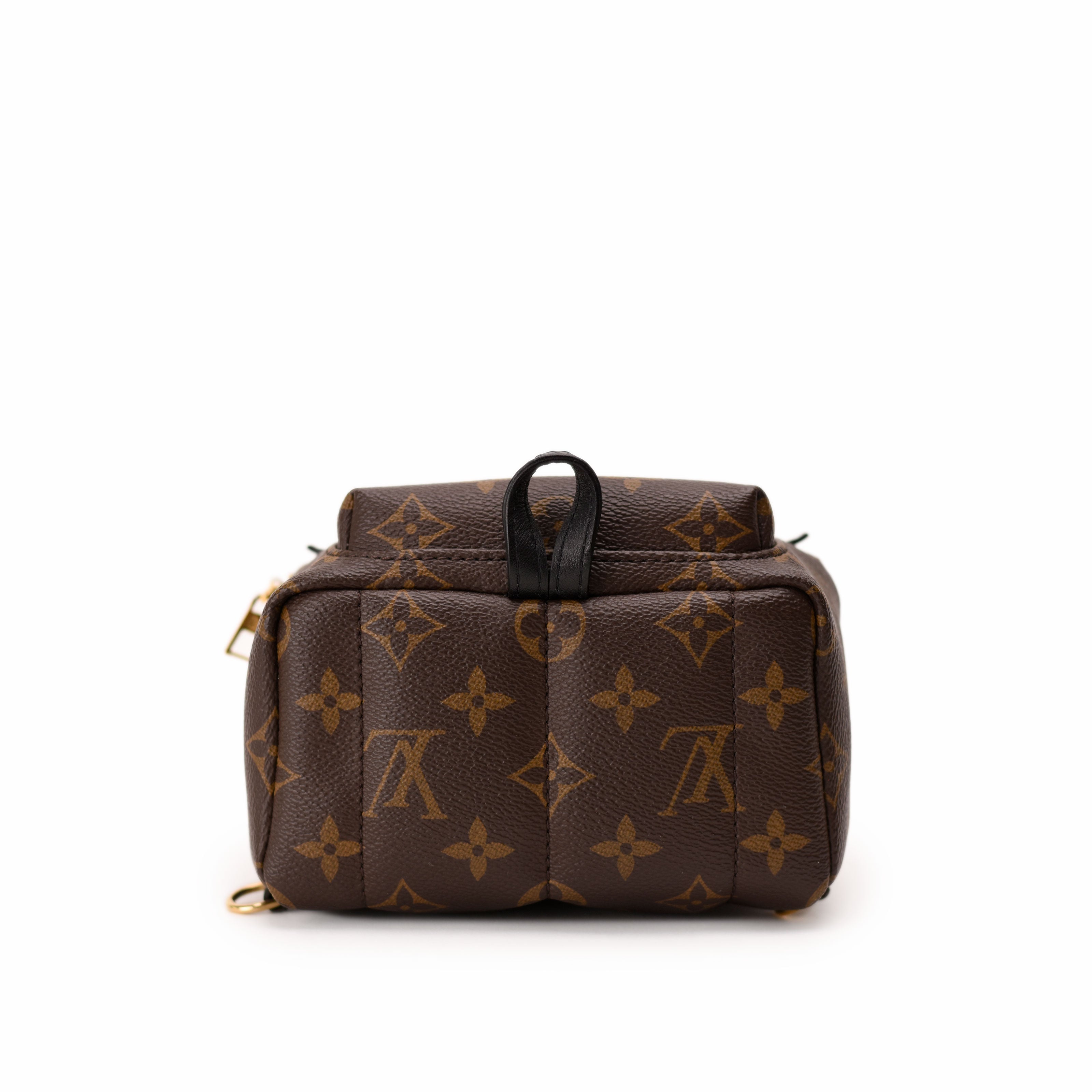 Louis Vuitton Palm Springs Mini Monogram