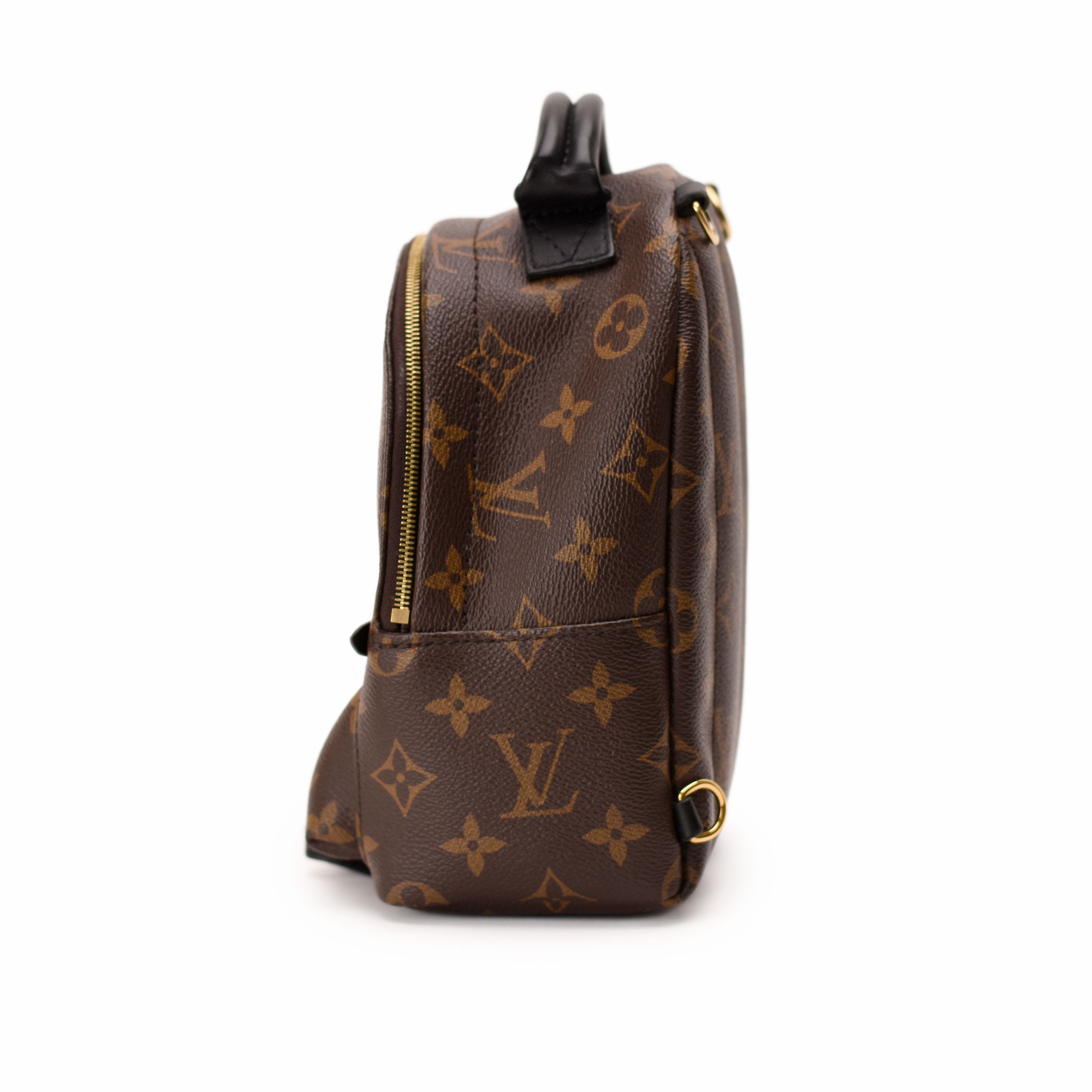 Louis Vuitton Palm Springs Mini Monogram