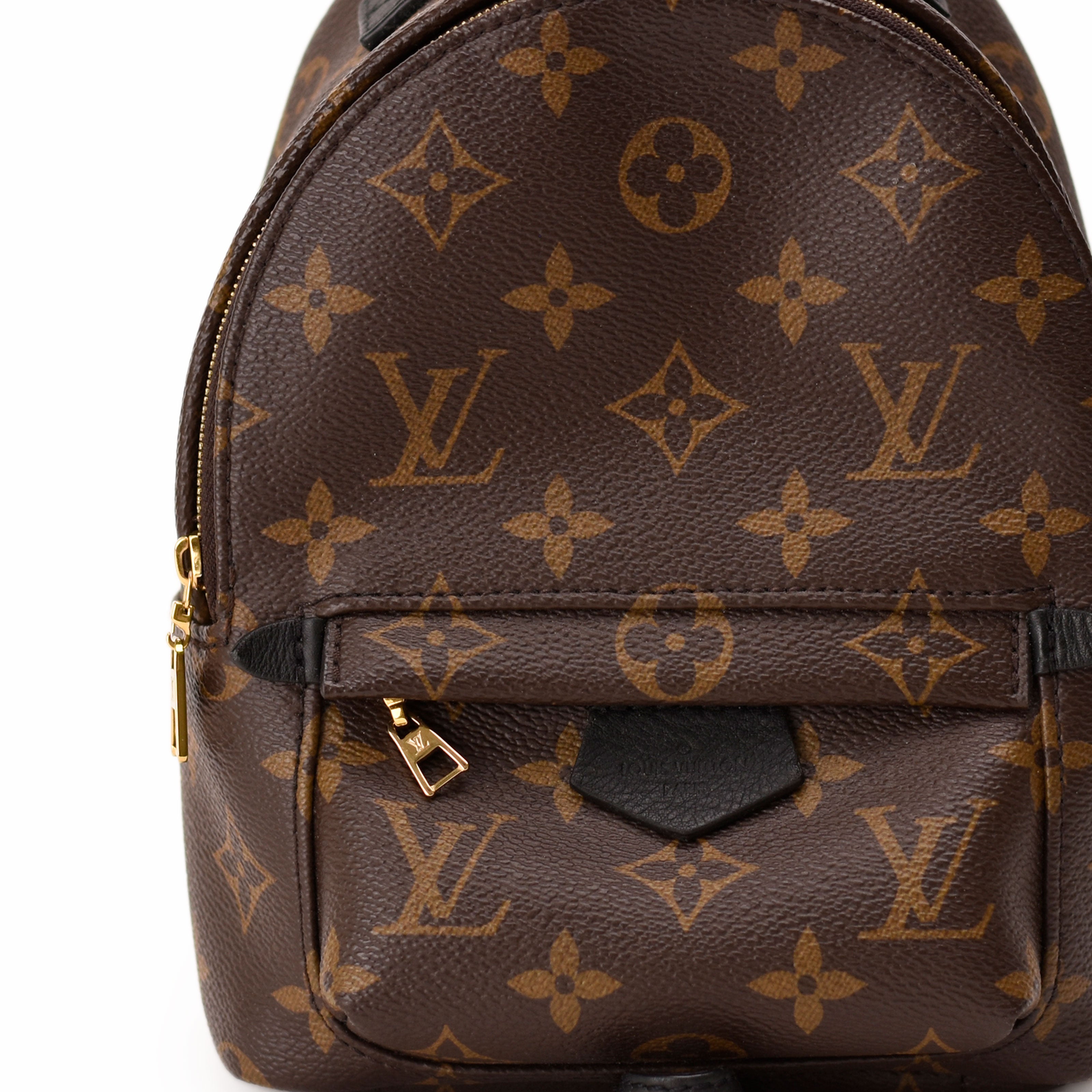 Louis Vuitton Palm Springs Mini Monogram
