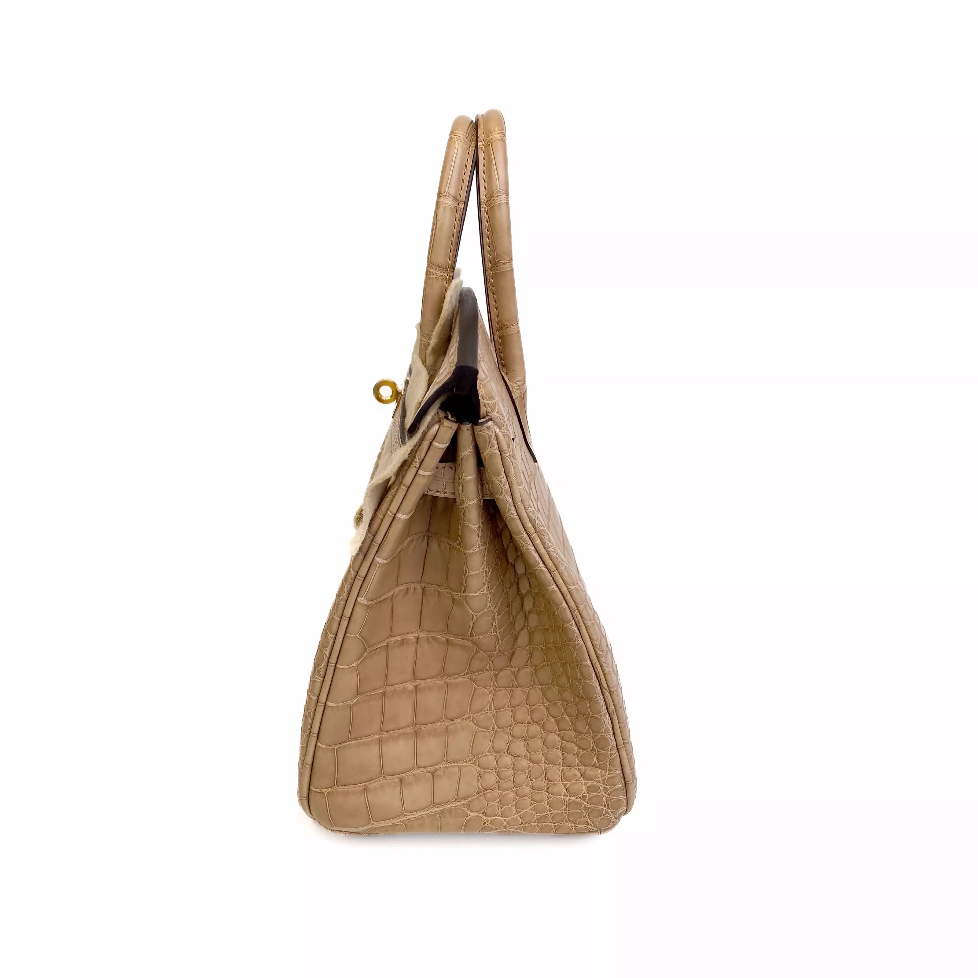 Hermes Birkin 25 Chai Matte Alligator Gold Hardware Right Side