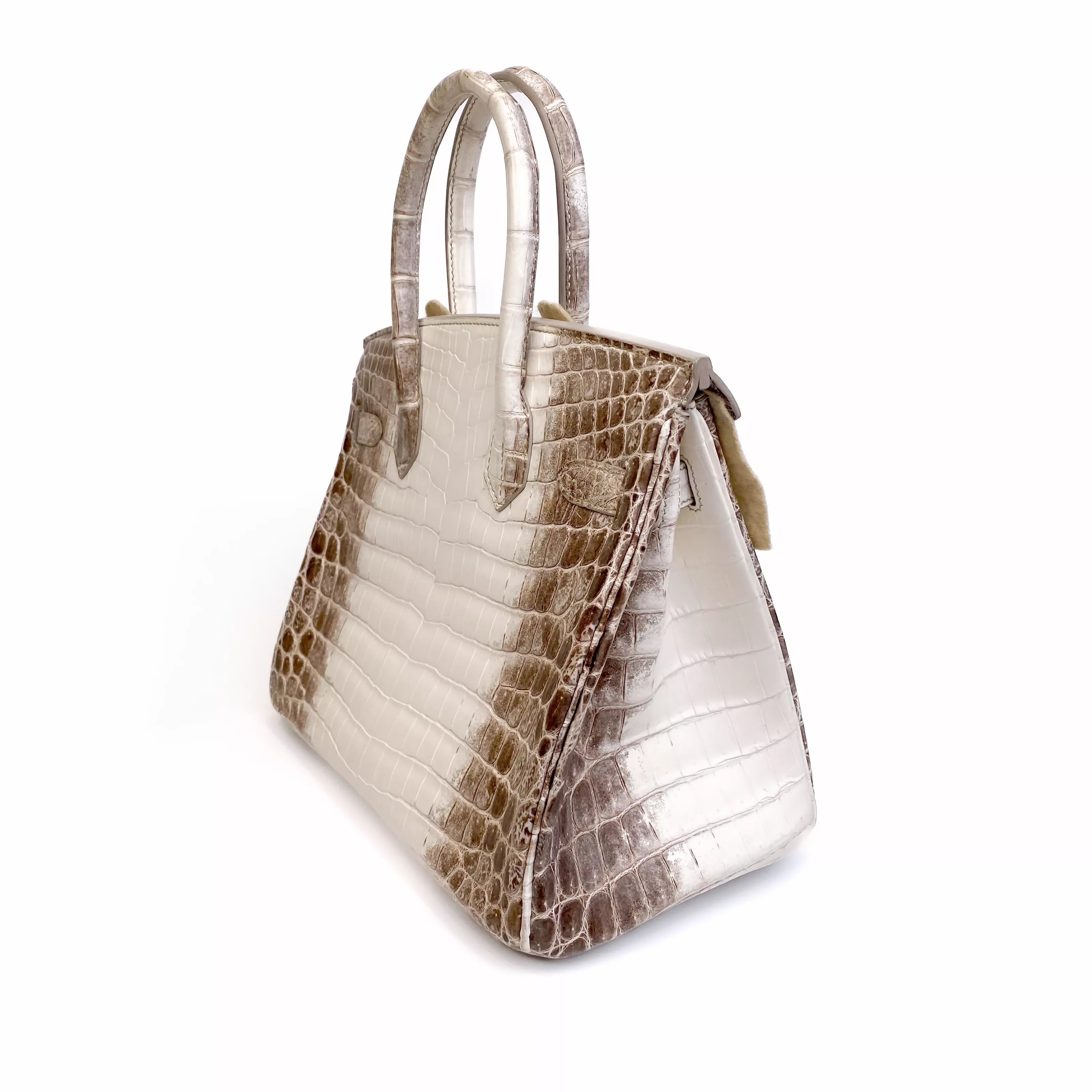 Hermès Birkin 30 Himalaya Niloticus Crocodile Diamond Palladium Hardware Back Side 2