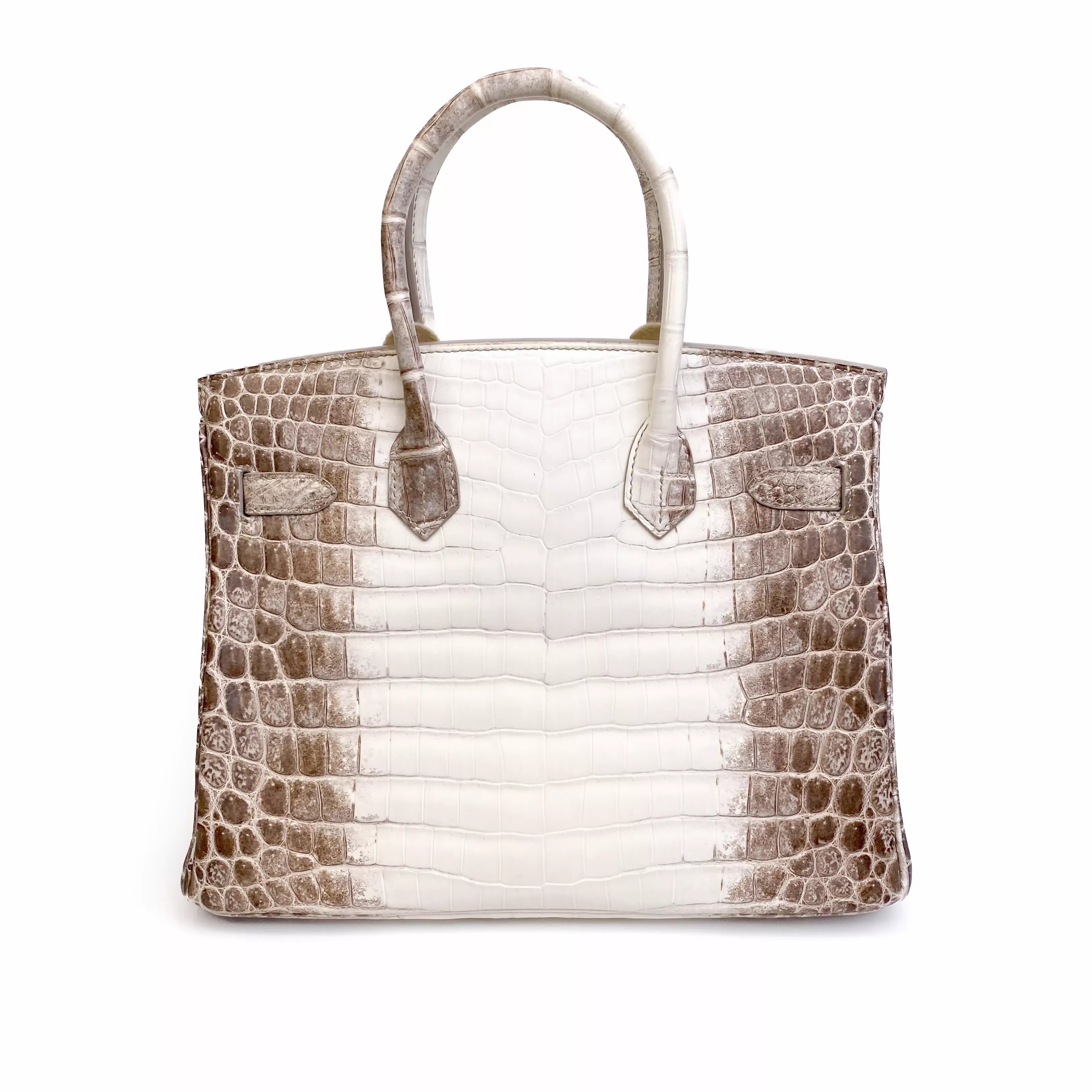 Hermès Birkin 30 Himalaya Niloticus Crocodile Diamond Palladium Hardware Back