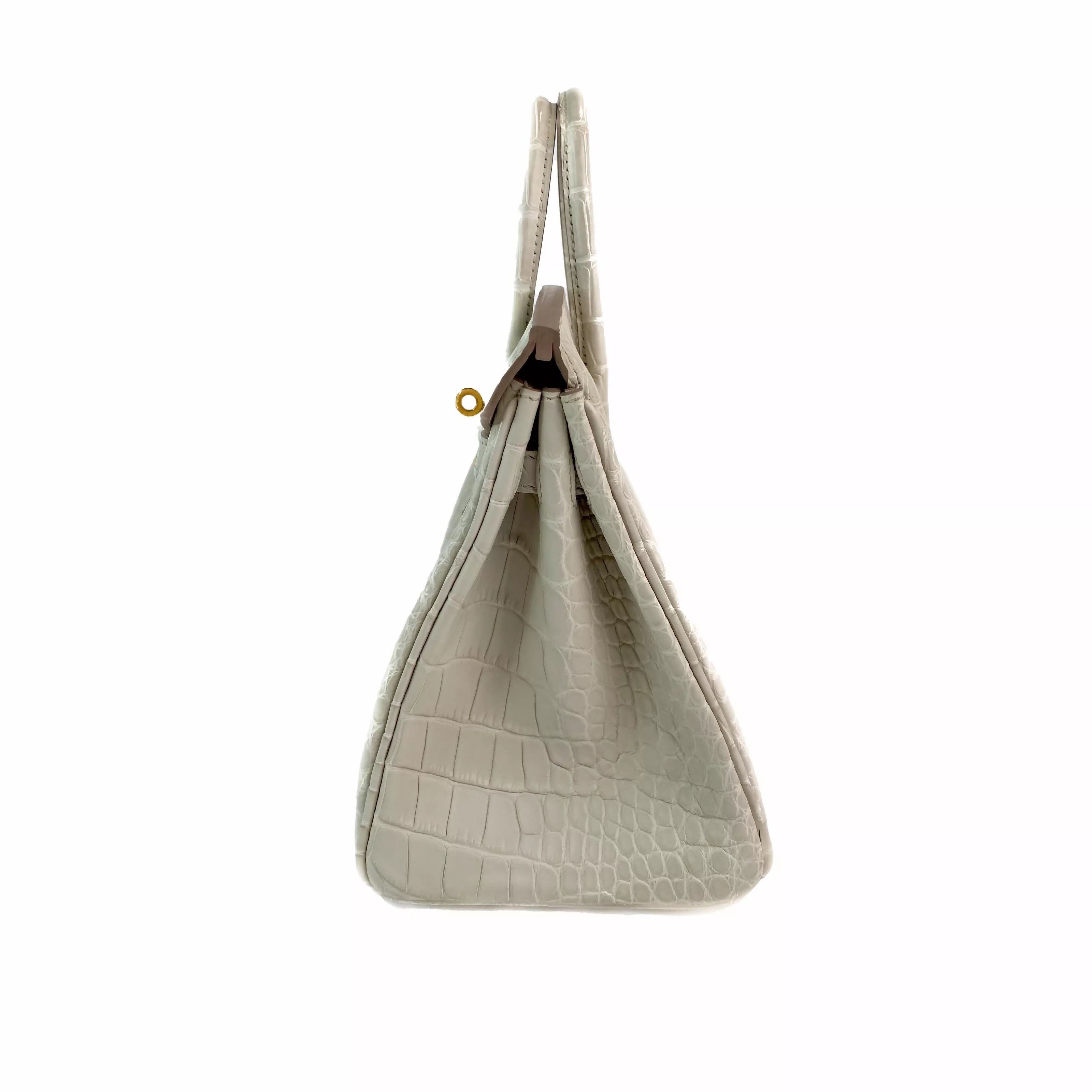 Hermès Birkin 25 Beton Matte Alligator with Gold Hardware Right Side