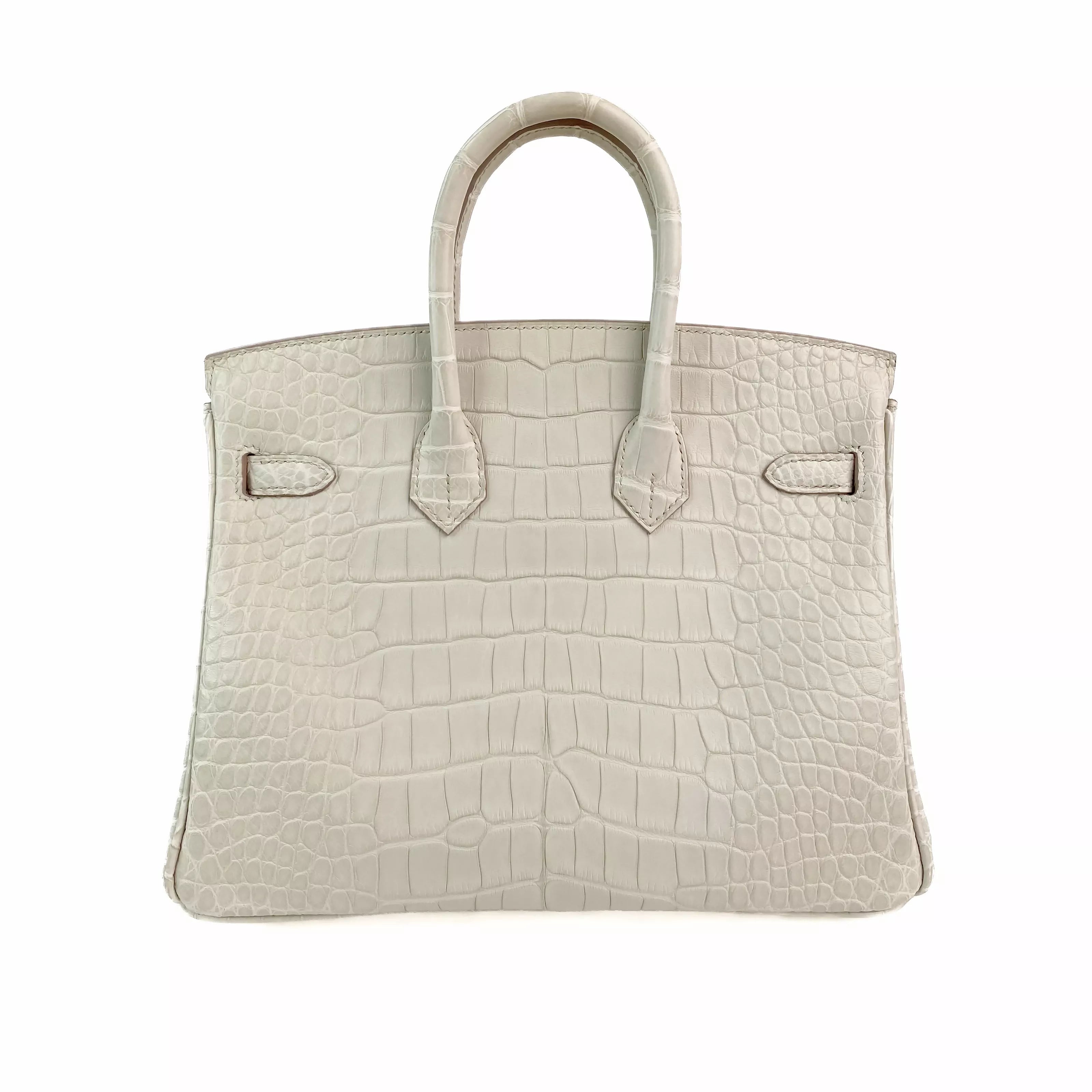 Hermès Birkin 25 Beton Matte Alligator with Gold Hardware Back
