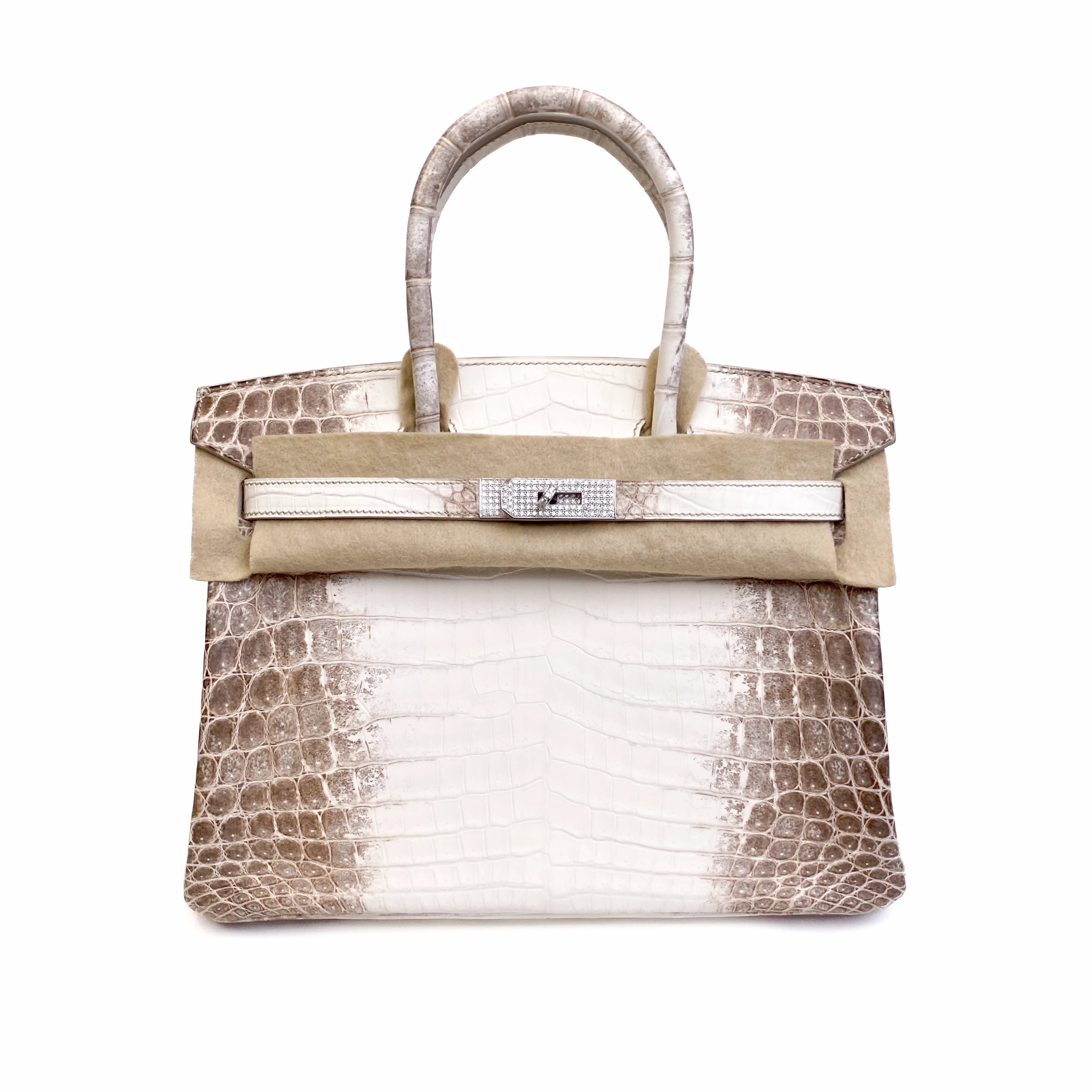 Hermès Birkin 30 Himalaya Niloticus Crocodile Diamond Palladium Hardware Front