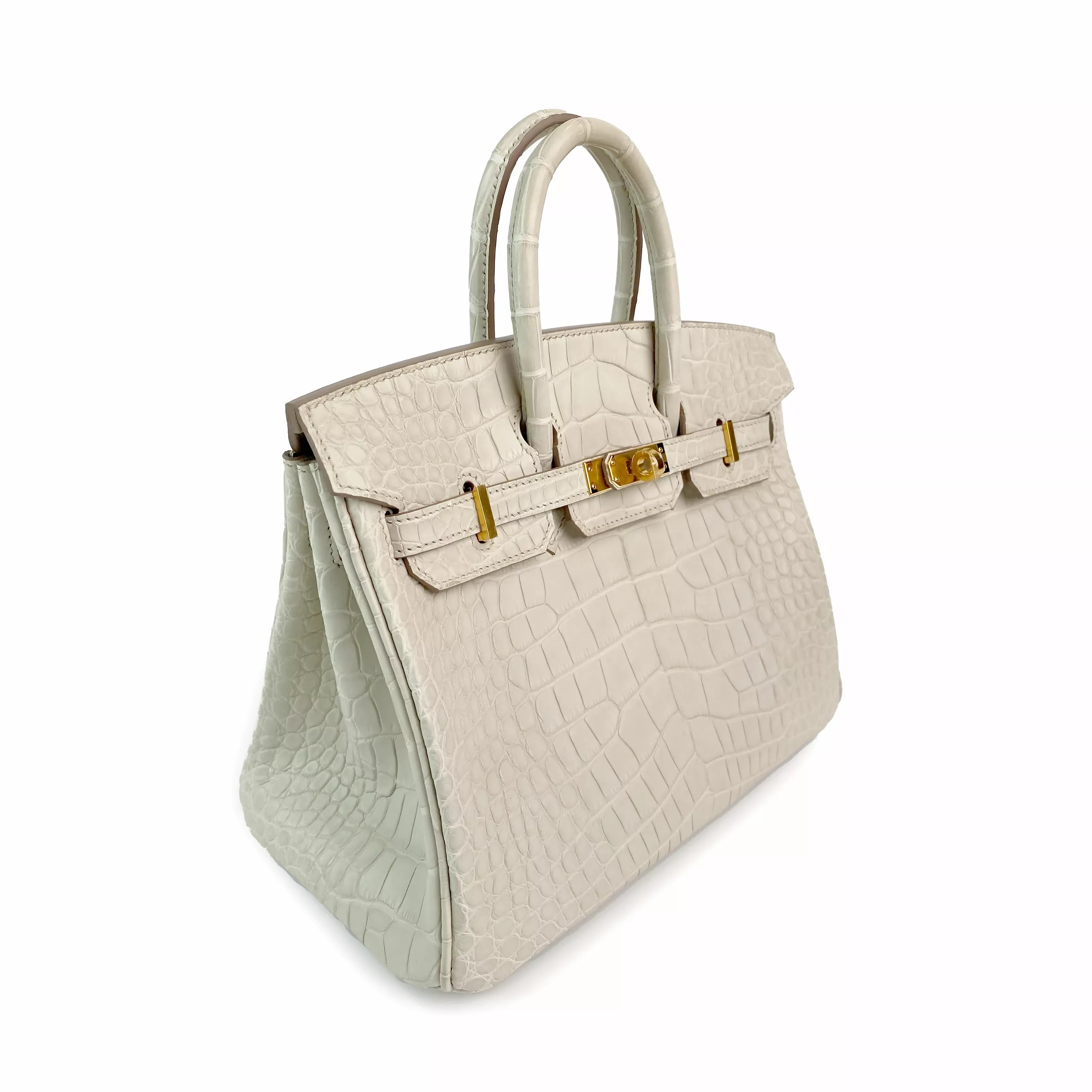 Hermès Birkin 25 Beton Matte Alligator with Gold Hardware Left