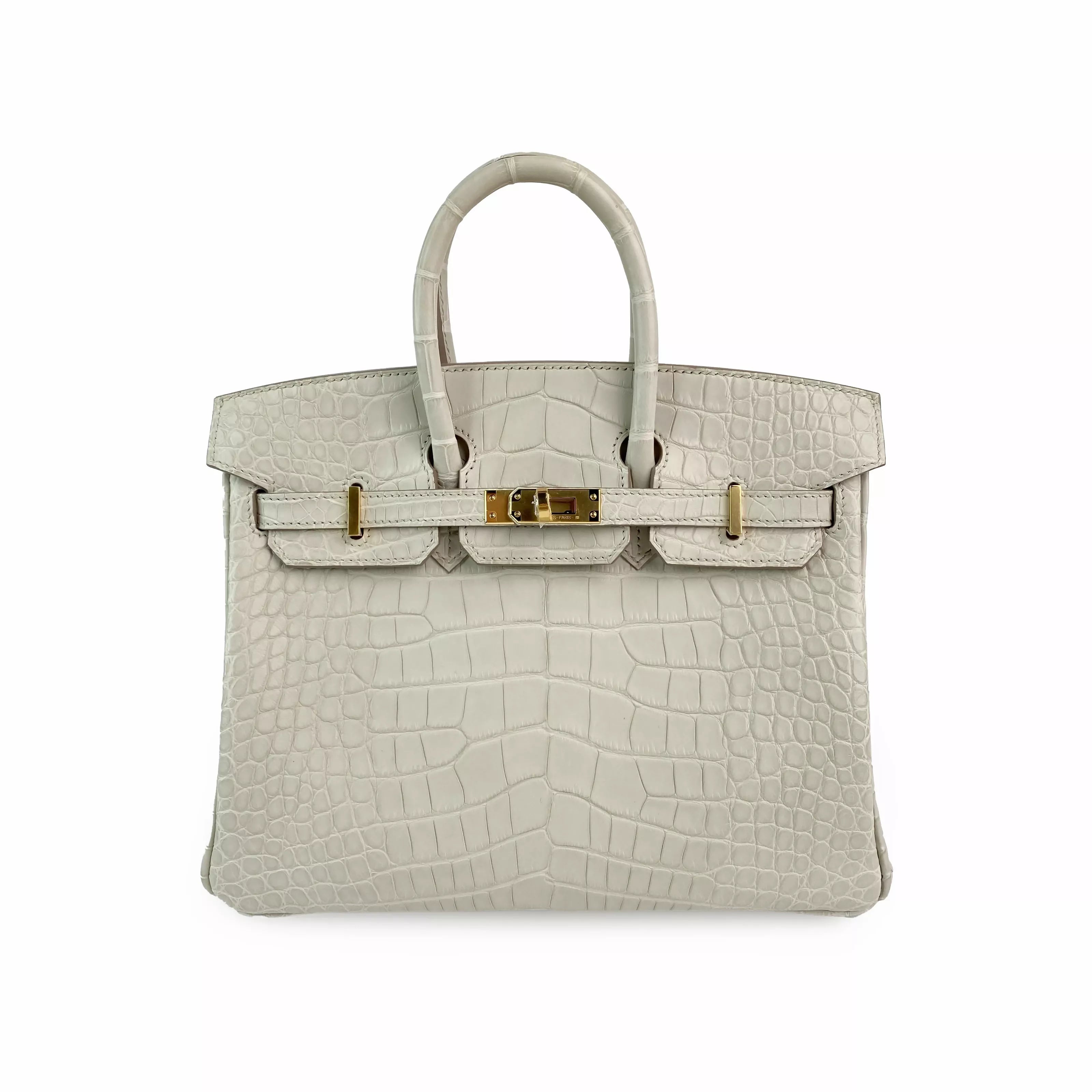 Hermès Birkin 25 Beton Matte Alligator with Gold Hardware Front