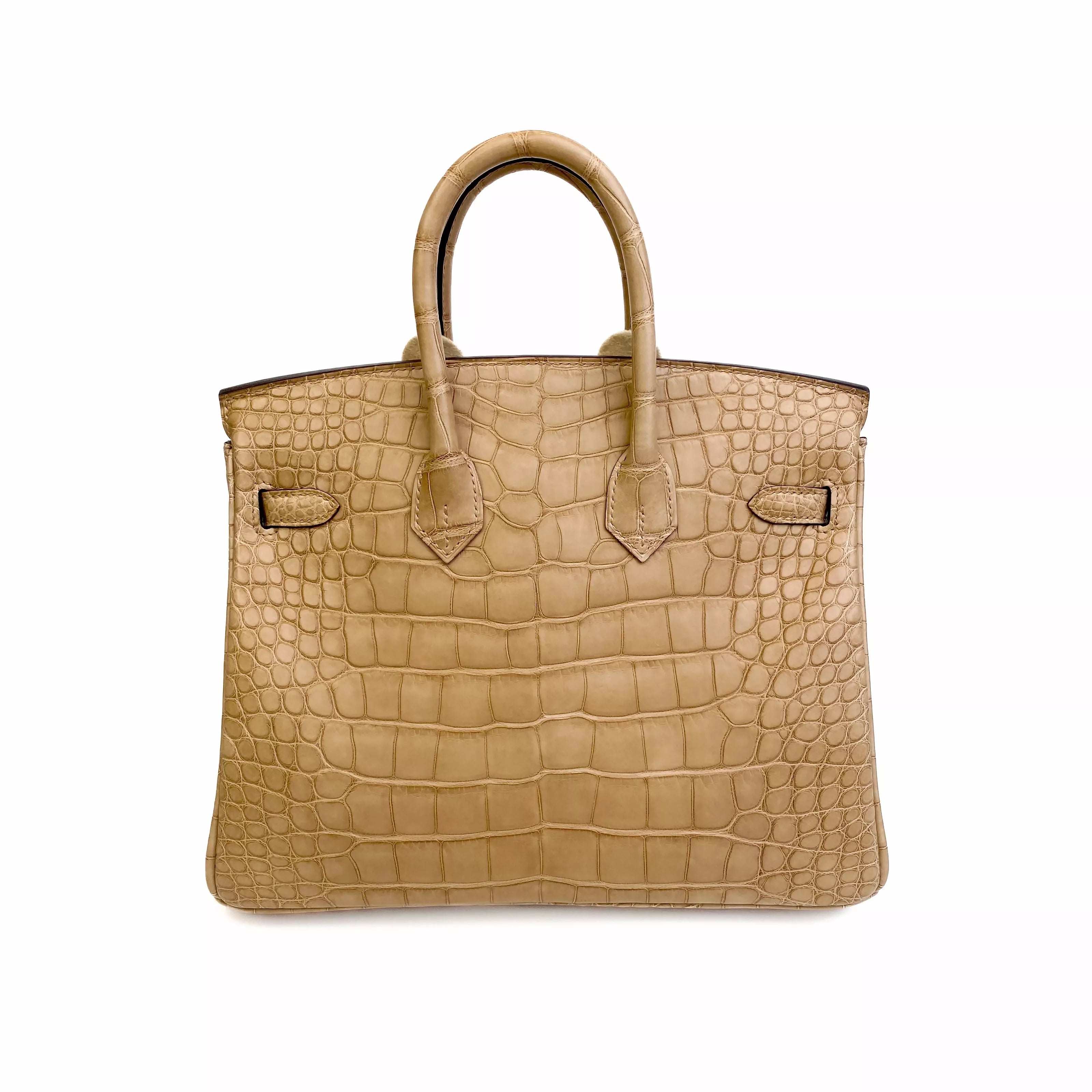 Hermes Birkin 25 Chai Matte Alligator Gold Hardware Back