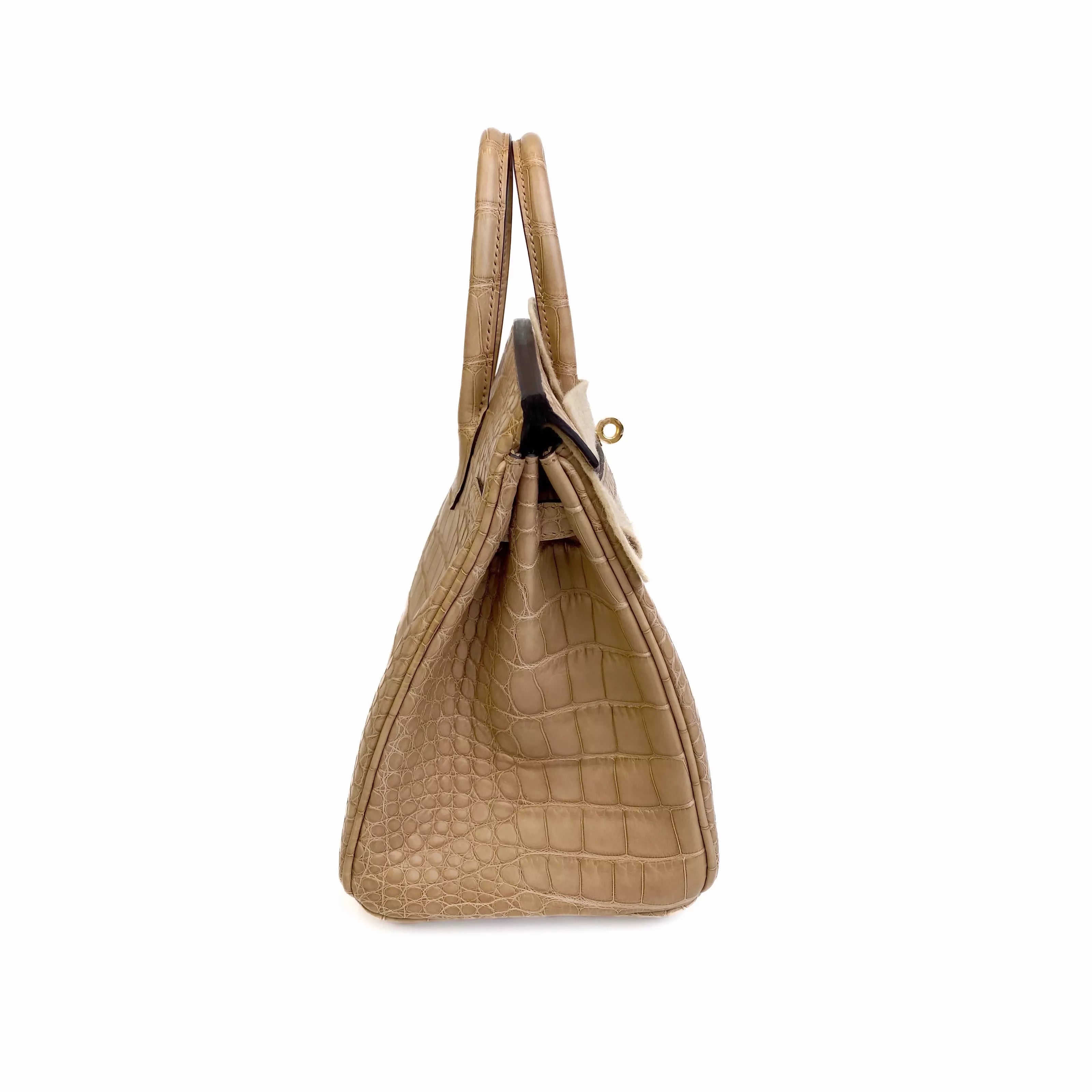 Hermes Birkin 25 Chai Matte Alligator Gold Hardware Left Side