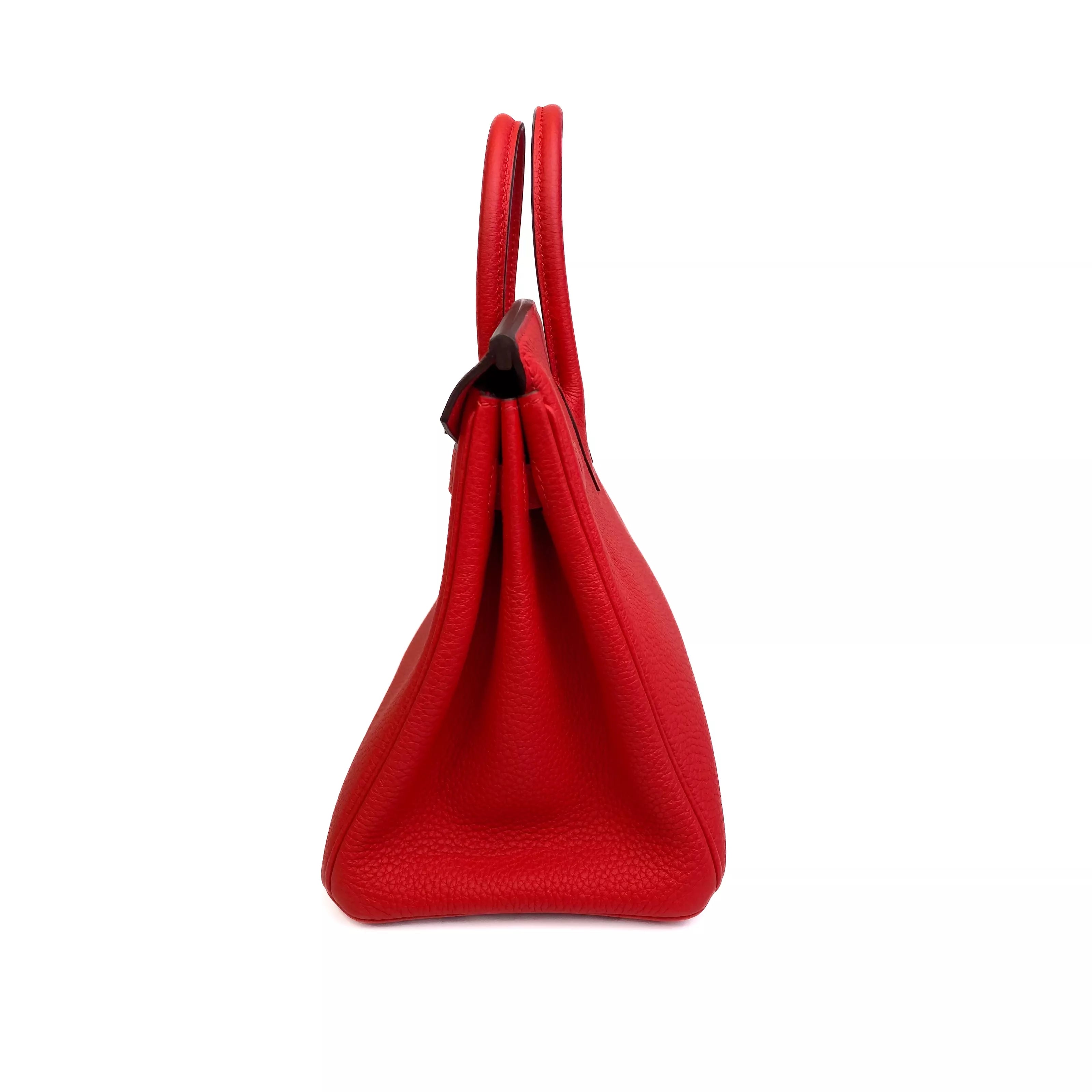 Hermes Birkin 25 in Rouge Casaque Togo Leather PHW 5